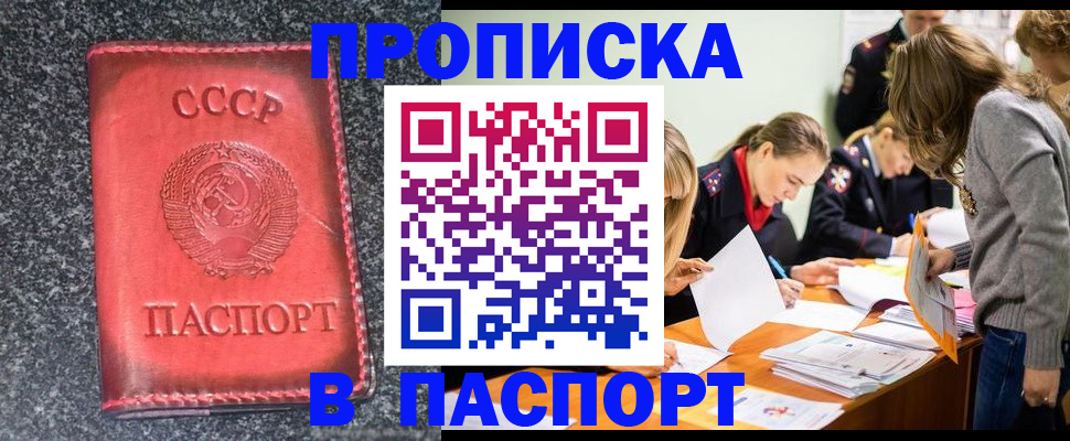 прописка для школы в Опочке
